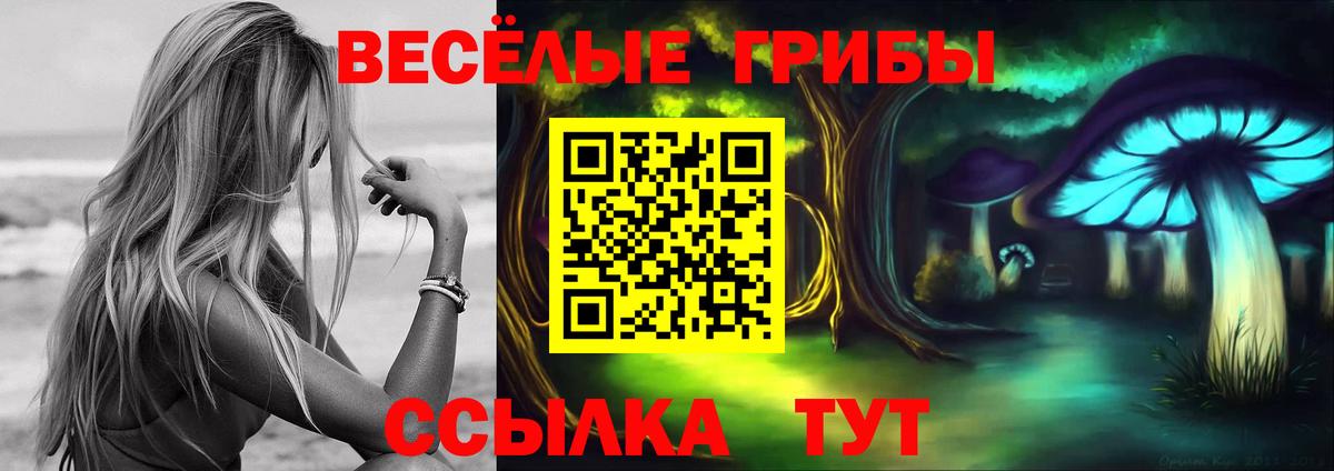 Псилоцибиновые грибы GOLDEN TEACHER  даркнет сайт  Вход с VPN  Нягань  Галлюциногенные грибы Psilocybine cubensis 